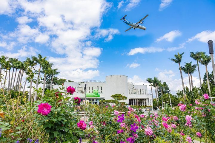 ▲抬頭就能看見飛機飛過，在「臺北玫瑰園」才能拍出飛機與玫瑰同框的景色。　圖：臺北市政府工務局／提供