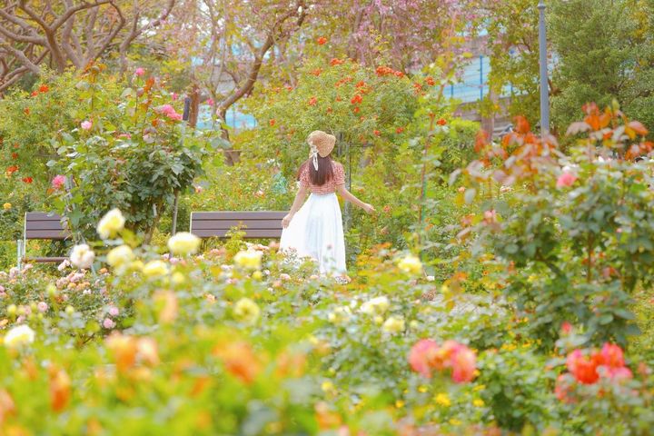 透過長焦鏡頭，拍出置身花海中的浪漫景致。　圖：臺北市政府工務局／提供