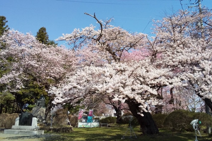 ▲奧州市是美國職棒大聯盟 MLB 棒球好手大谷翔平的故鄉，近年來成為岩手縣內十分熱門的觀光景點。　圖：岩手縣、奧州市／提供