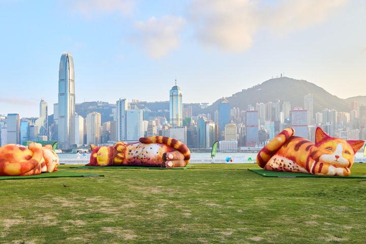 「西九家 FUN 藝術節」2026：Air Giants《夢遊喵境》。　圖：西九文化區管理局／提供