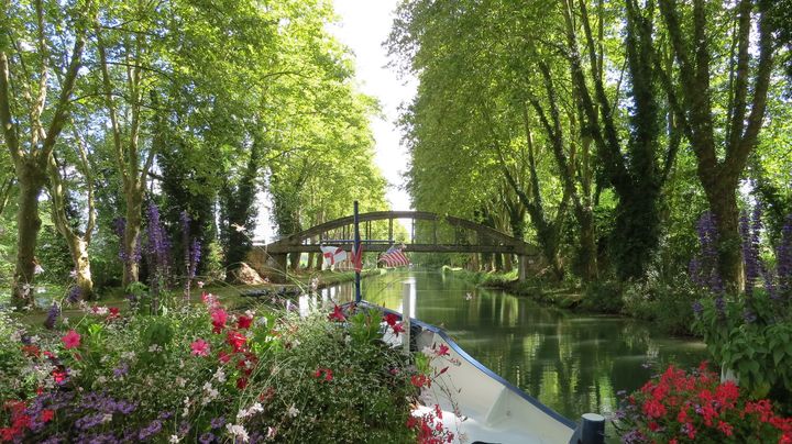 ▲河道旅行探索法國波爾多葡萄酒產區的風光、美食、美酒與文化等多樣魅力。　圖：French Waterways／提供