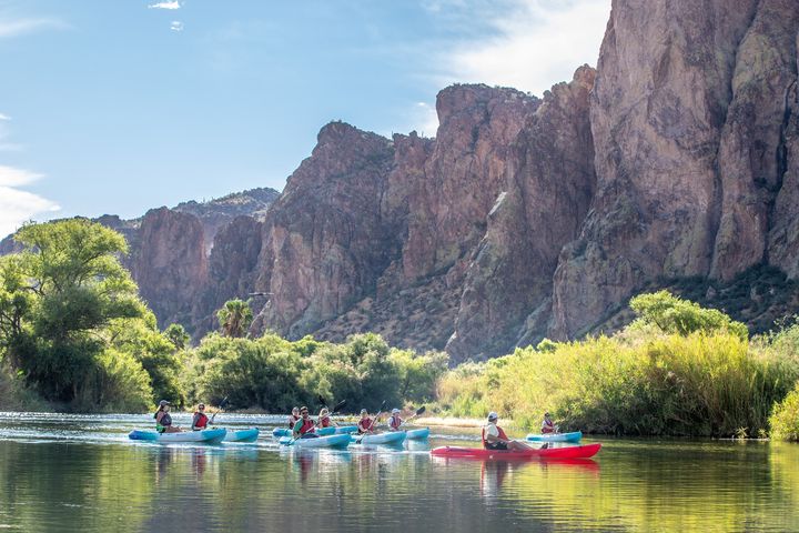▲亞利桑那州梅薩（Mesa）的下鹽河動態賞鳥體驗可觀察各種鳥類活動。　圖：Visit Mesa／來源