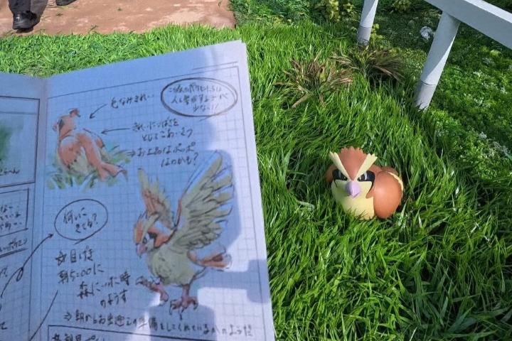 在寶可夢森林中可以根據研究筆記來探索園區內的寶可夢。　記者-游琮玄／攝影