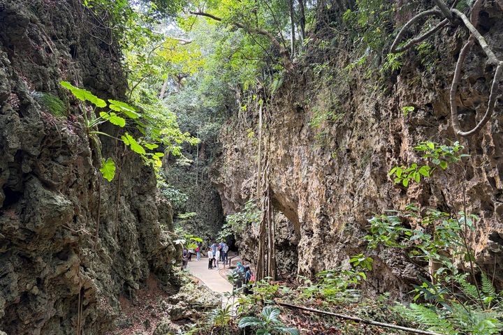 ▲墾丁森林遊樂區。　圖：陳彥叡／提供