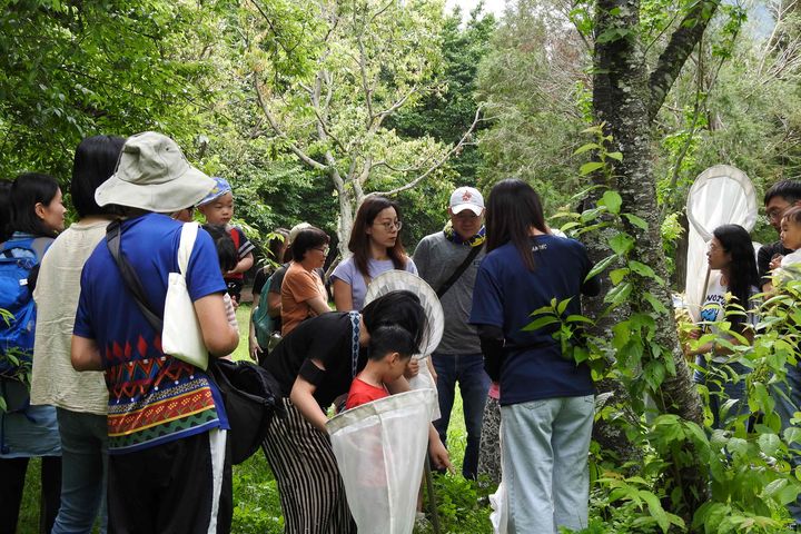 ▲奧萬大森林遊樂區。　圖：林業保育署-南投分署／提供