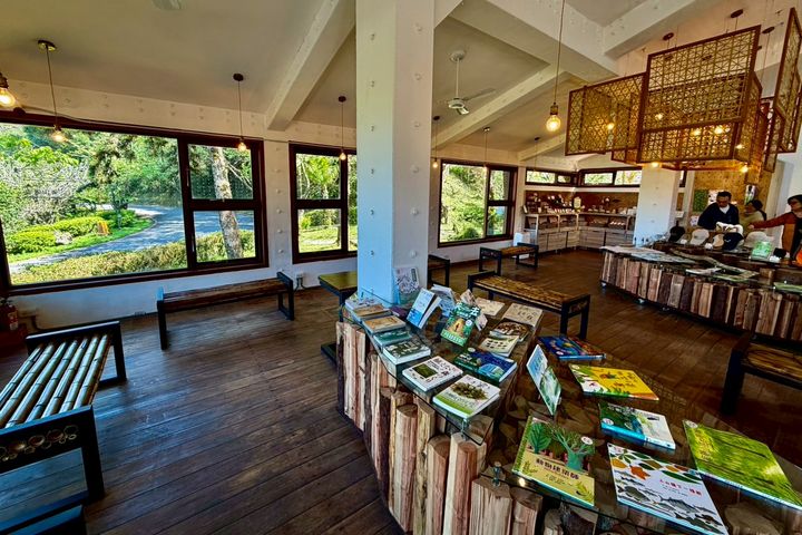 東眼山國家森林遊樂區。　圖：林業保育署-新竹分署／提供