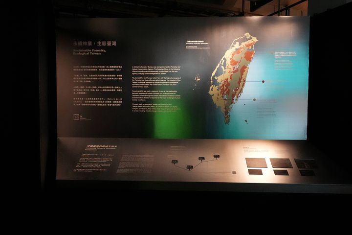 ▲特展沿著時間之河向下游行走，看見制度如何在歷史洪流中變化，「永續林業，生態臺灣」象徵臺灣林業從過去的「經濟伐採」轉型為「保林優先」與「永續利用」。　圖：林業及自然保育署／提供