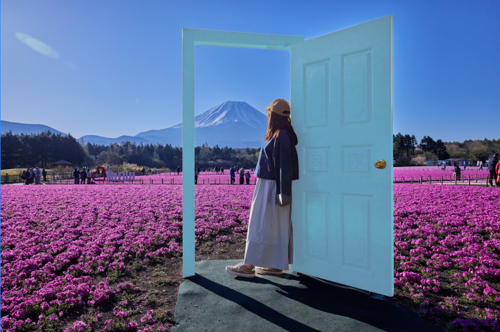  ▲芝櫻田中央豎立著一座淡藍色的門框造景，遊客可以在門內和富士山合照。　圖：富士急行／提供