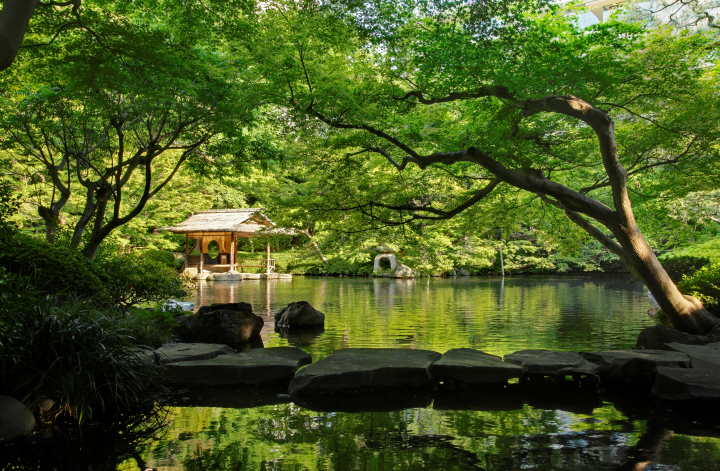 ▲「八芳園」的日式庭園保留了豐富的自然綠意，池塘邊設有一座傳統的木造涼亭。　圖：東京觀光事務所臺灣辦事處／提供