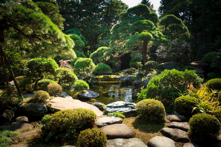 「山本亭」的書院造庭園，以池塘、景石與修剪細緻的常綠植栽構成傳統日式景觀。　圖：東京觀光事務所臺灣辦事處／提供