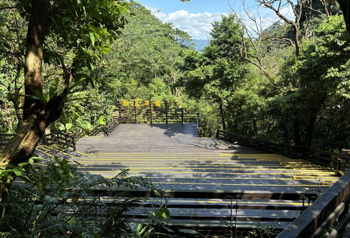 在土城桐花公園的山林舞台上，讓音樂與風聲交織，展開一場近山的感官饗宴。　圖：新北市政府觀光旅遊局／提供