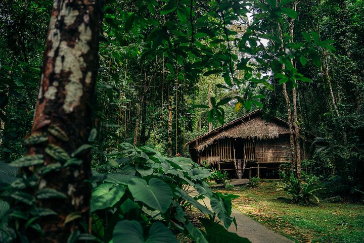 ▲旅客可透過豐富文化體驗，探索婆羅洲自然秘境，沉浸於在地生態及獨特風情。　圖：Club Med／提供