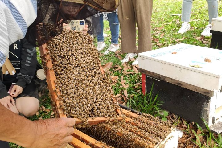 ▲仙湖休閒農場－覓蜜團。　圖：農遊超市／提供