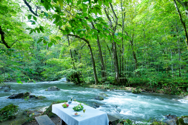  在夏季平均氣溫約21度的奧入瀨溪流畔，旅客能一邊感受大自然的清涼微風，一邊品嚐香檳。【※ 禁止酒駕；飲酒過量，害人害己。】　圖：星野集團／提供