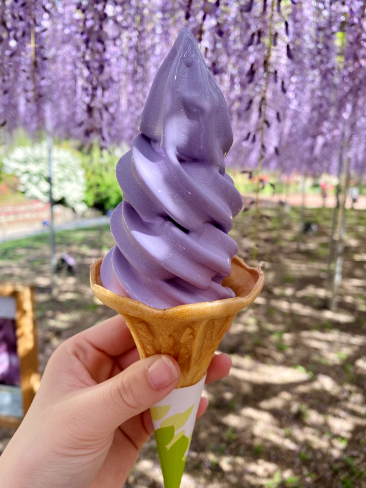  ▲紫藤花霜淇淋是絕對不能錯過的甜點。　圖：足利花卉公園／提供