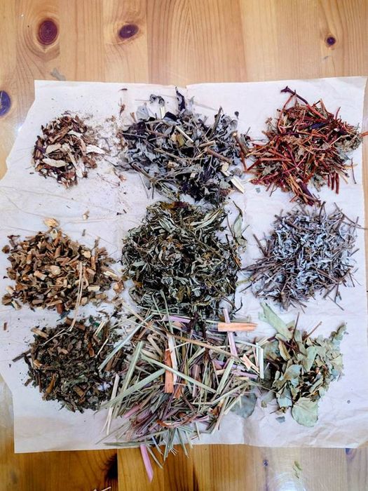 ▲結合各式香草植物,搭配自己喜愛的香草茶。 圖:臺北市政府工務局公園處/提供