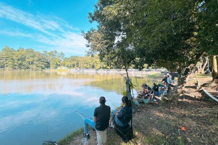 搭「168虎埤老街線」玩新化 慢享山城品農產美食