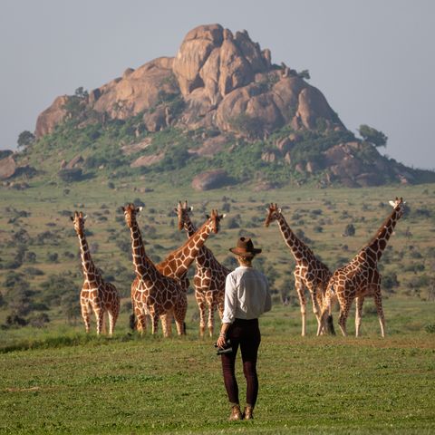 ▲由專業嚮導帶領的私人越野 safari。　圖：Heavens Portfolio／提供