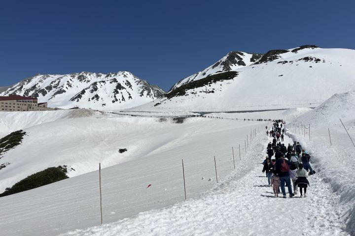 ▲全景之路。　圖片提供：立山黑部貫光株式會社／提供