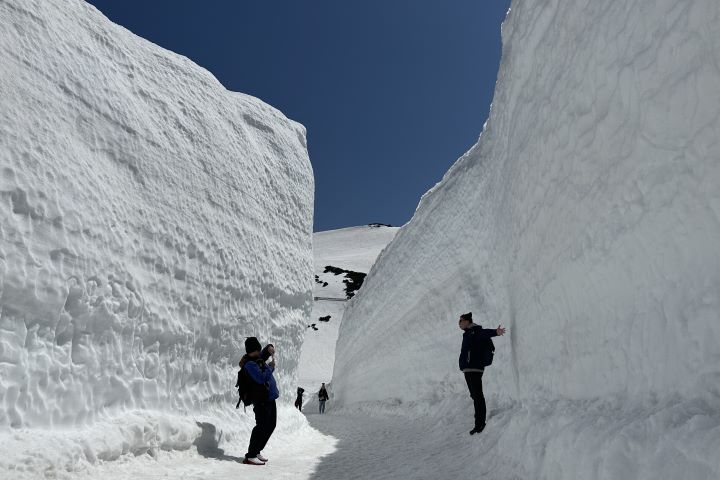▲雪之迴廊。　圖片提供：立山黑部貫光株式會社／提供