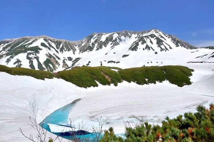 ▲室堂平・御庫裏池（5月下旬）。　圖片提供：立山黑部貫光株式會社／提供