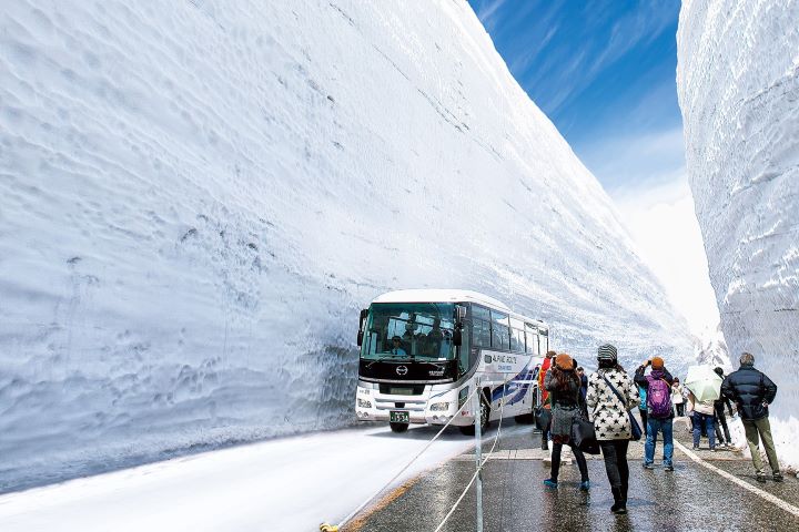漫步雪之大谷。　圖片提供：立山黑部貫光株式會社／提供