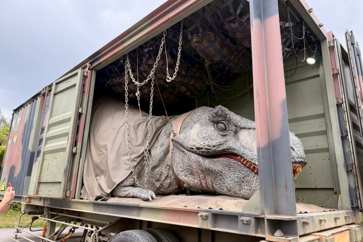 在「DINOSAUR SAFARI」將可以體驗刺激的恐龍追逐。　記者-游琮玄／攝影