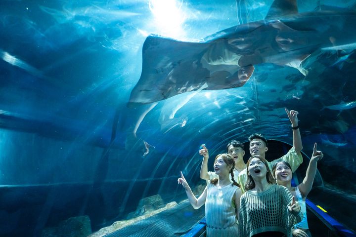 遠雄海洋公園打造沉浸式海洋主題體驗，是花蓮代表性的觀光景點之一。　圖：花蓮遠雄海洋公園／提供