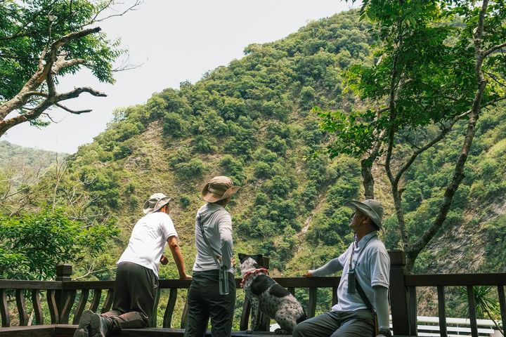 花蓮縣觀光旅館商業同業公會攜手六大觀光飯店推出「2026年花蓮1+1．樂齡聯名假期」，打造高齡友善旅遊典範。　圖：花蓮縣觀光旅館商業同業公會／提供 