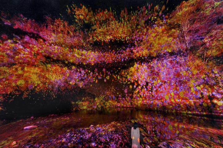 日本千葉期間限定！teamLab走進溫泉鄉「養老溪谷」打造戶外光影藝術展