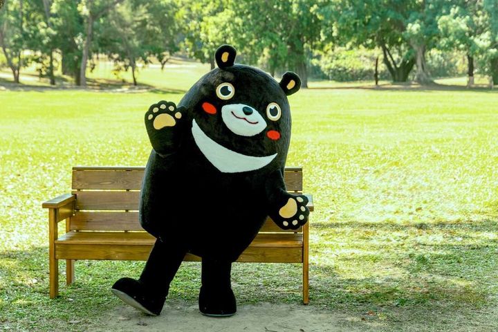 ▲05/01-05/03將有「高雄熊快閃見面會」。　圖：高雄市政府觀光局／提供