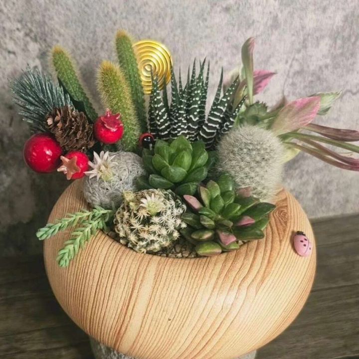 ▲親子手作坊－微景觀盆栽 DIY。　圖：高雄市政府觀光局／提供