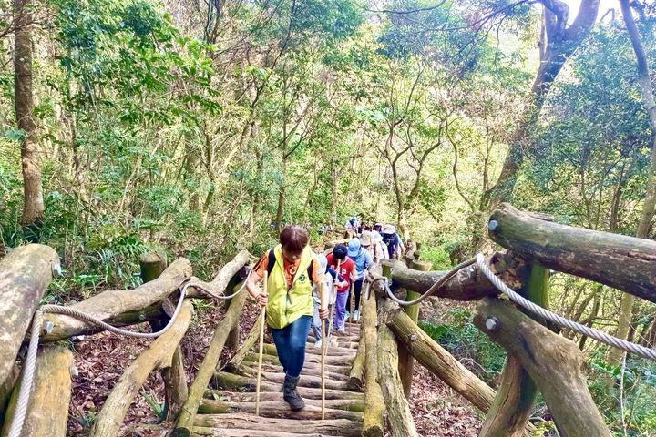 ▲森林禪行－腳步冥想。　圖：台中市政府觀光旅遊局／提供