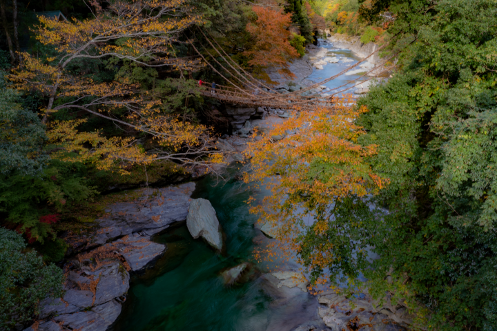 祖谷最知名的「葛藤橋」是旅客必訪的景點。　圖：佐佐木工業／提供