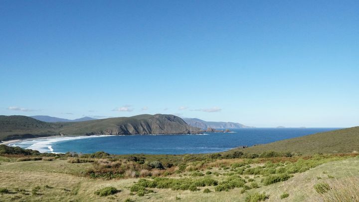 ▲布魯尼島以原始自然風光、海鮮美食、白色袋鼠與壯麗海岸線聞名。　圖：永信旅遊／提供