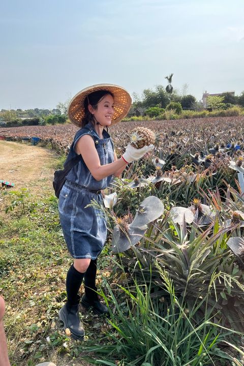 ▲高雄「巴瓈圓農場」，推出「友善鳳梨小旅行」、「鳳梨食農之旅」特色行程。　圖：農遊超市／提供