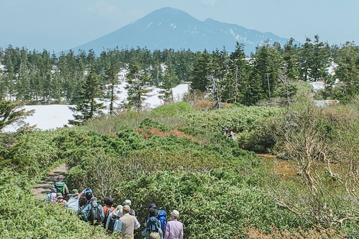 ▲「八幡平龍之眼」雖在山頂，但透過巴士或自駕搭配步行仍可輕鬆前往。　圖：日本旅行情報局／提供