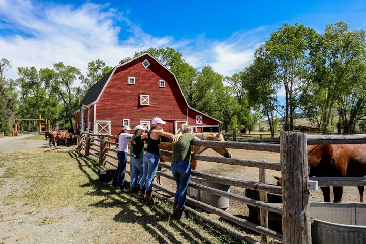 在美國蒙大拿州圓酒吧（Circle Bar Ranch）牧場，孩子們在馬廄圍欄邊享受牛仔體驗假期。　圖：Sublime Public Relations／提供 