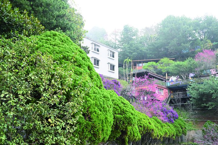 ▲「流星花園．幸福樂活園區」也提供度假民宿場域，週邊環境高雅舒適。　記者-王政／攝