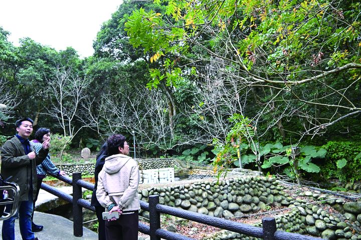 ▲爭取農村水保署補助，推動「里山倡議」計畫，打造旱溪生態池與示範空間，保留百年土角厝與洞洞屋。　記者-王政／攝