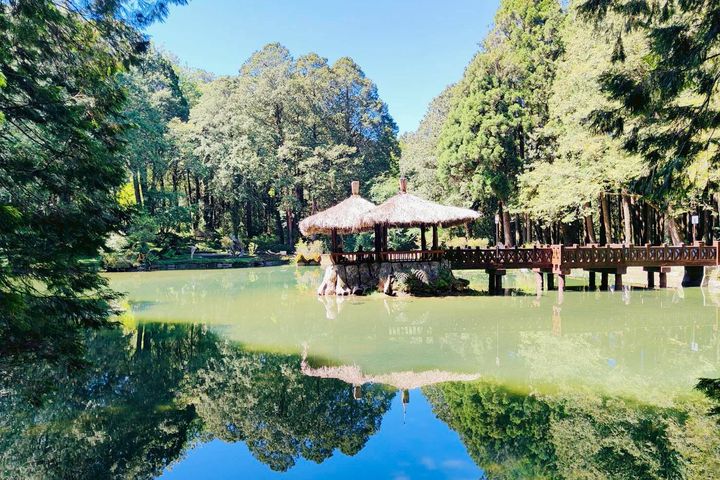 ▲夏日滿水位的姊妹潭，夢幻倒影與蓊鬱林木如夢似幻。　圖：阿里山賓館／提供