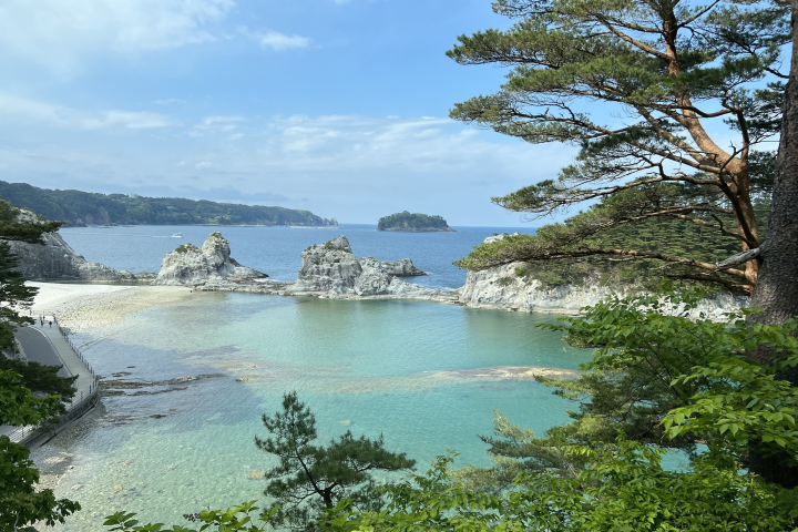 「淨土之濱」由白岩綠松、湛藍海景組成的夏日絕景，讓人一見難忘。　圖：向日遊／提供