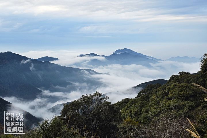 雲霧繚繞的觀霧森林，是泰雅族世代傳承山林智慧的傳統領域（劉謹毓/攝影）。　圖：森之形自然教育團隊／提供