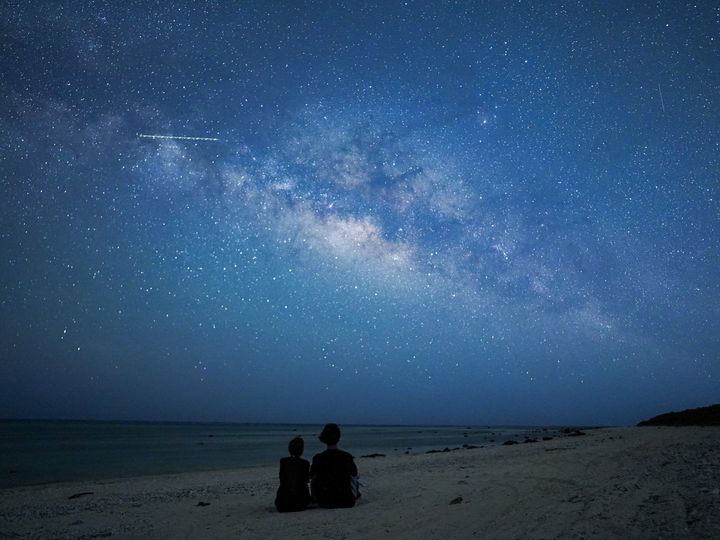 ▲夜間星空叢林夜遊。　圖：Klook／提供