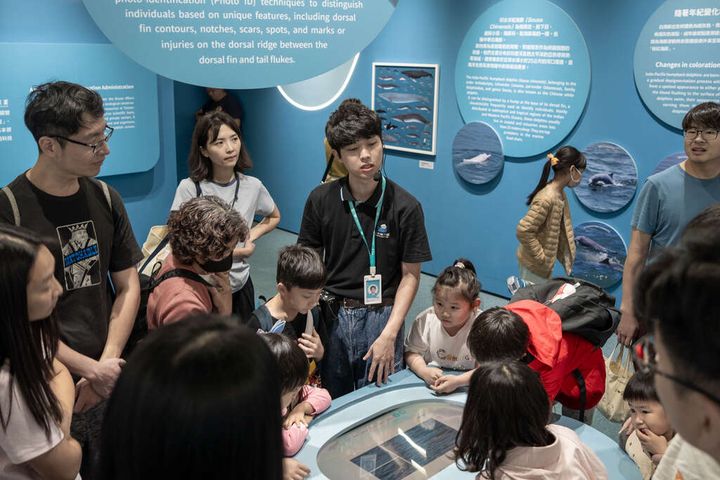 ▲「台中海洋館」邀你對海洋說真心話。　圖：臺中市政府觀光旅遊局／提供