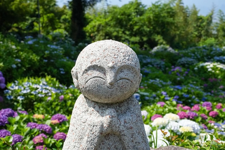 ▲「大聖寺」為歷史古剎，初夏繡球花景點綴後更顯清幽靜謐。　圖：武雄市觀光協會／提供