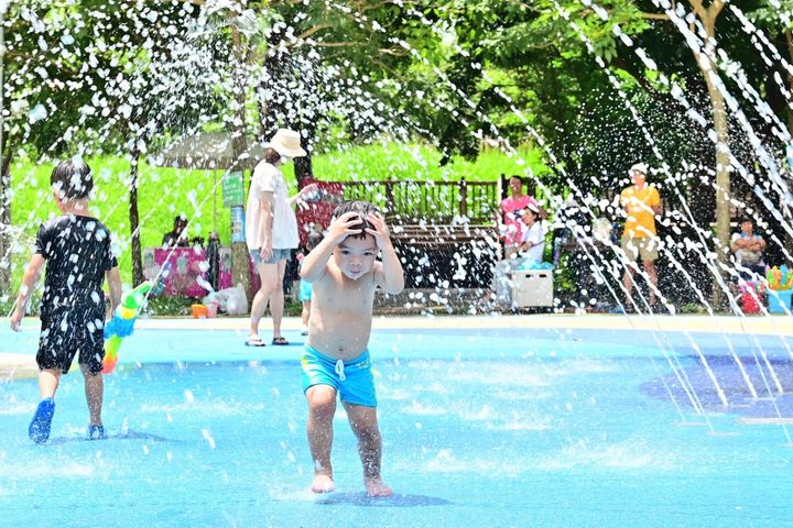 ▲陪孩子們消暑一夏。 圖:臺中市政府觀光旅遊局/提供