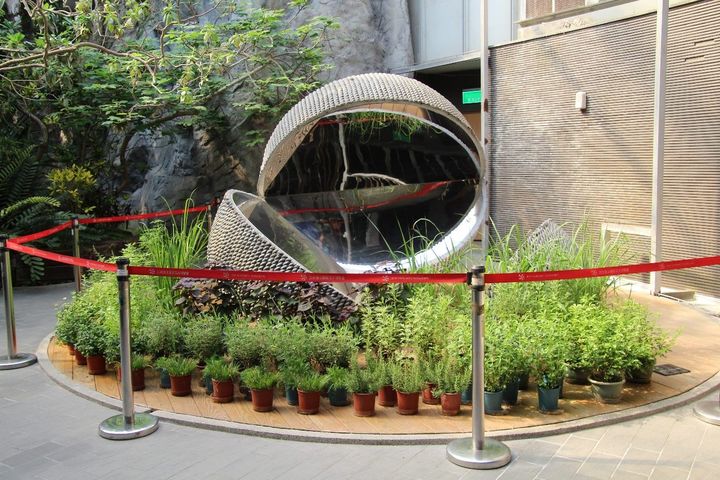 「臺北典藏植物園」園區入口的香草植物展示。　圖：臺北市政府工務局公園路燈工程管理處／提供