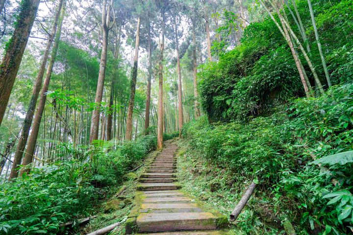 ▲步道沿途可欣賞山林之美。　圖：嘉義縣文化觀光局／提供