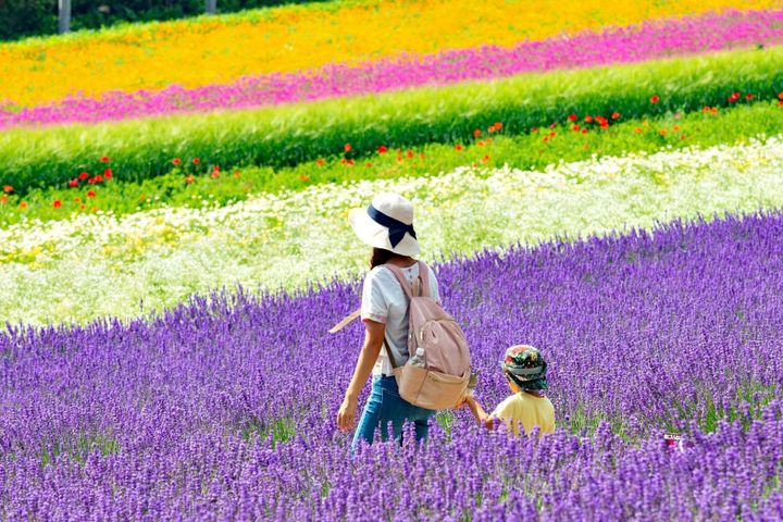 從阿爾卑斯山到北海道花海！精選三大自然系親子旅行提案 收藏最美夏日回憶